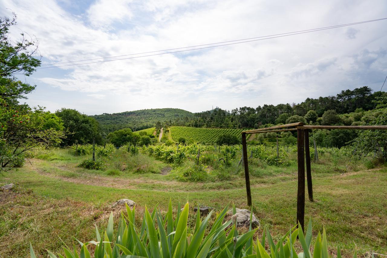 Agriturismo Fattoria Di Gratena Arezzo Exterior foto